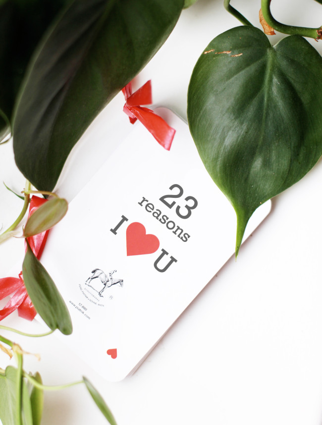 Last Minute Valentinstagsgeschenk // Fanfarella