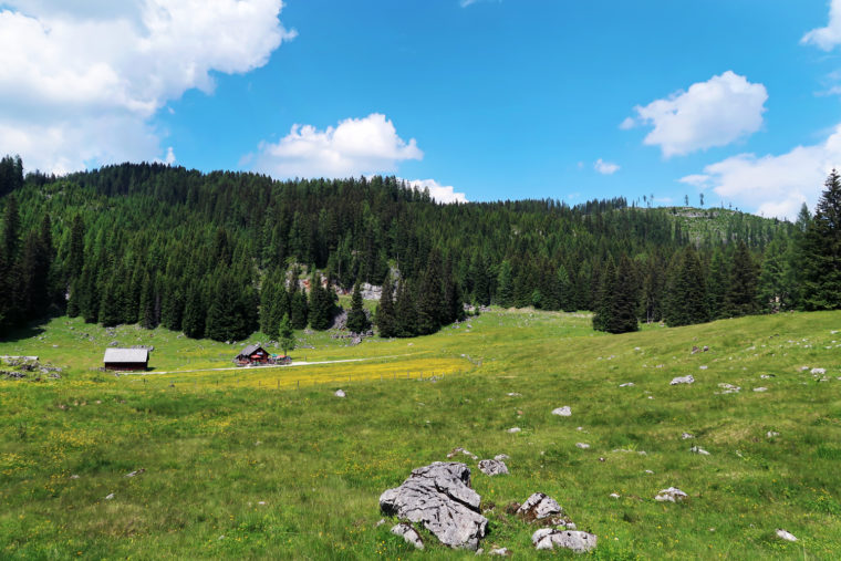 Poltern auf der Alm // Viehbergalm - Ritzingerhütte - Miesbodensee