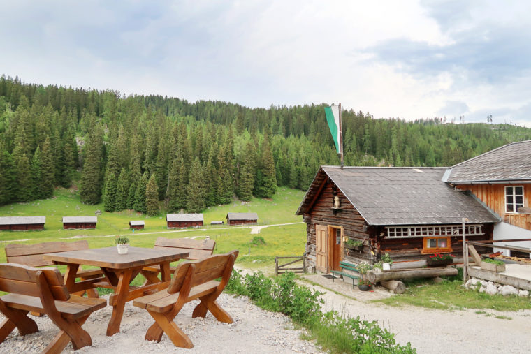 Poltern auf der Alm // Viehbergalm - Ritzingerhütte - Miesbodensee