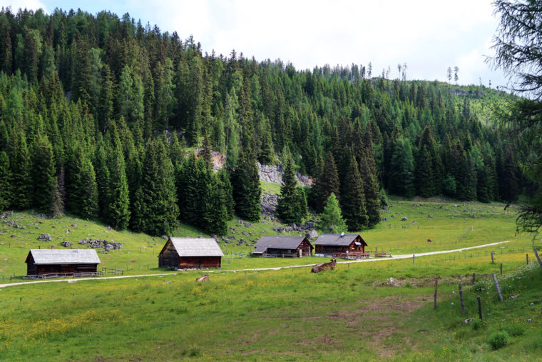 Poltern auf der Alm // Viehbergalm - Ritzingerhütte - Miesbodensee