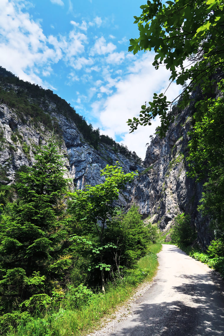 Poltern-auf-der-Alm-Ritzingerhuette-2