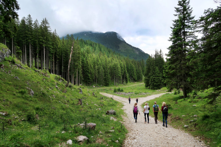 Poltern auf der Alm // Viehbergalm - Ritzingerhütte - Miesbodensee