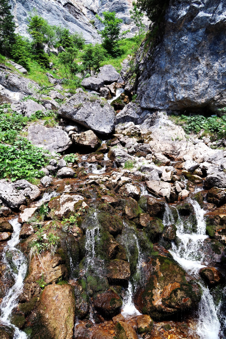 Poltern auf der Alm // Viehbergalm - Ritzingerhütte - Miesbodensee