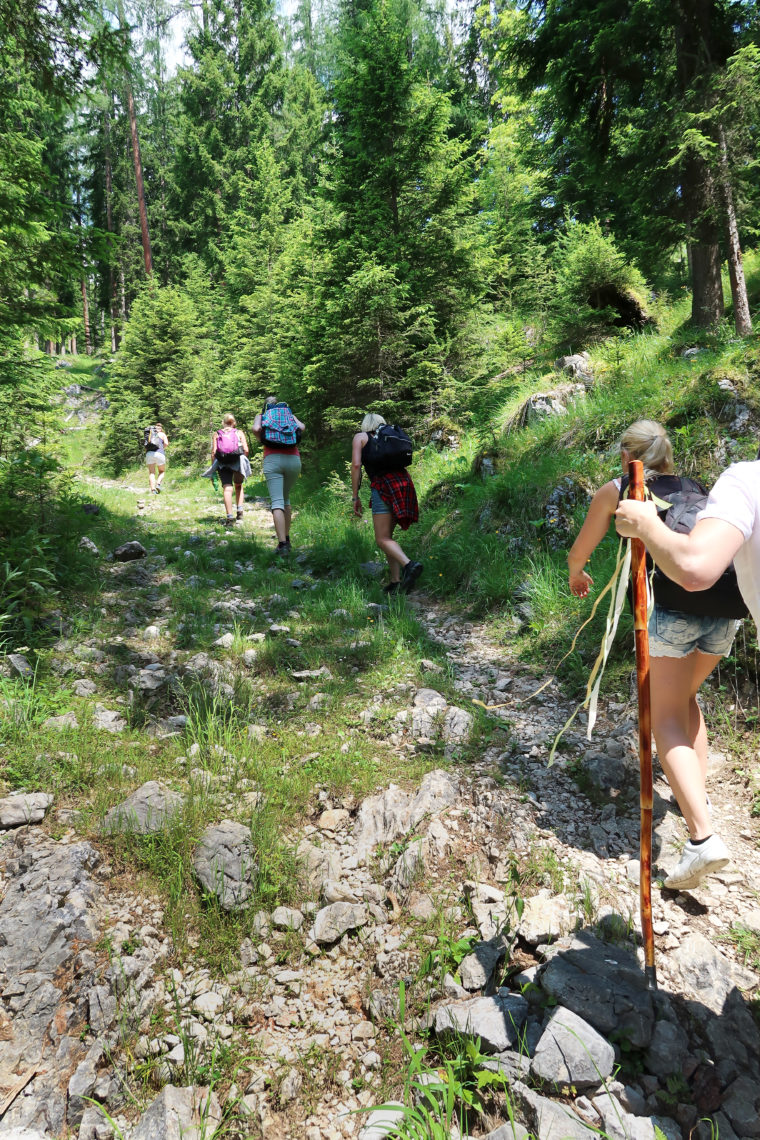 Poltern auf der Alm // Viehbergalm - Ritzingerhütte - Miesbodensee