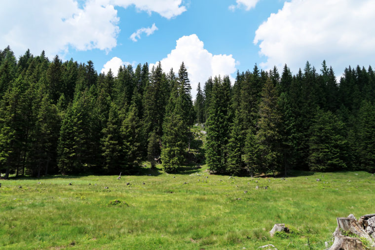 Poltern auf der Alm // Viehbergalm - Ritzingerhütte - Miesbodensee